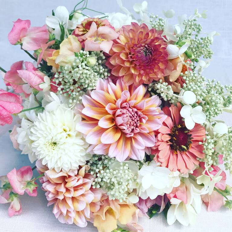 Orchard Lane Floral Design