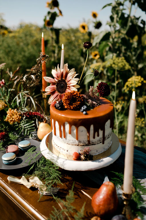 Melissa Alison Events