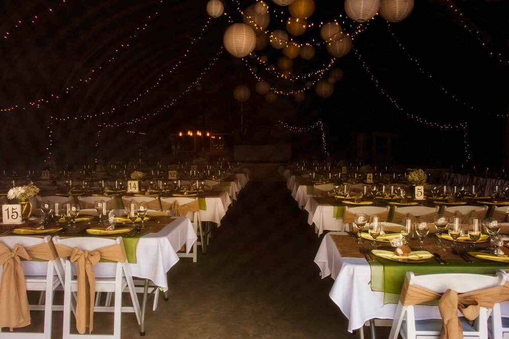 Diane Davidson Weddings