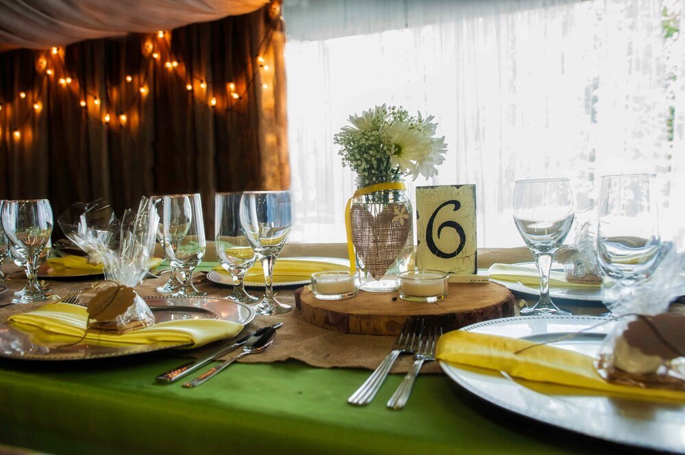 Diane Davidson Weddings