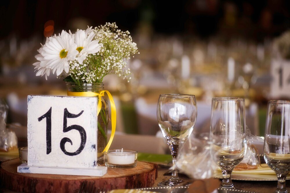 Diane Davidson Weddings