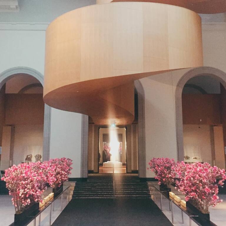 Cake and Champagne Events