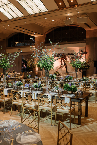 Royal Ontario Museum