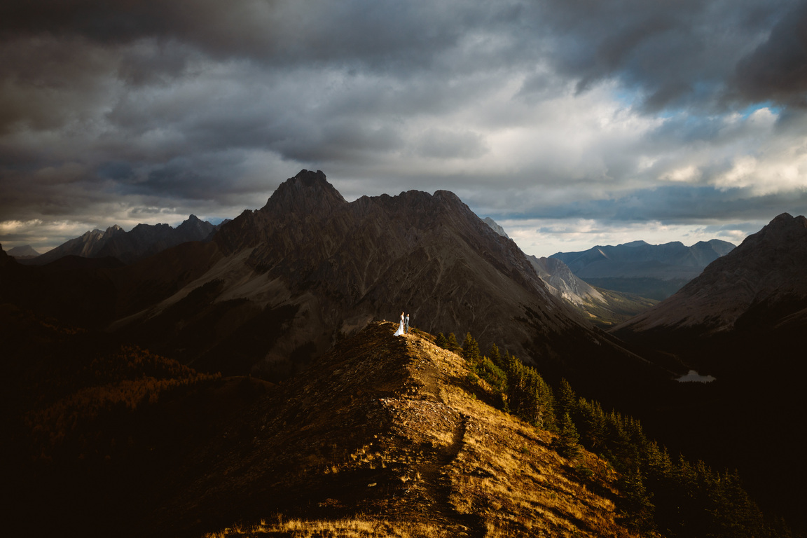 Film and Forest Photography