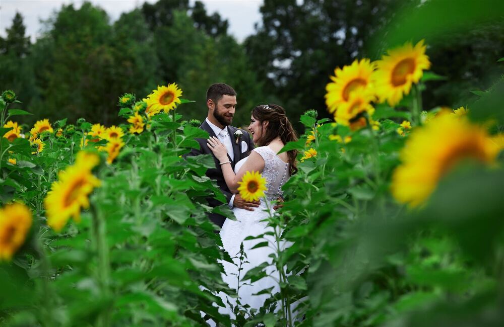 Stanley's Olde Maple Lane Farm
