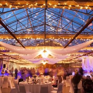 Drysdale's Tree Farm