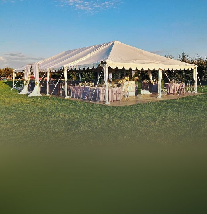 Albion Orchards