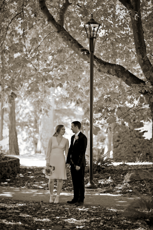 Starfish Photography