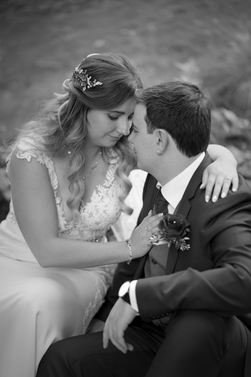 Starfish Photography