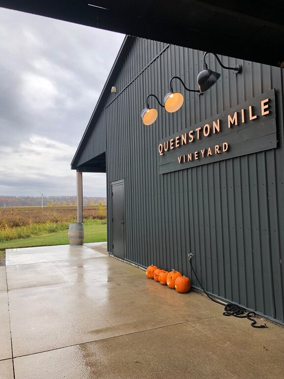 Queenston Mile Vineyard