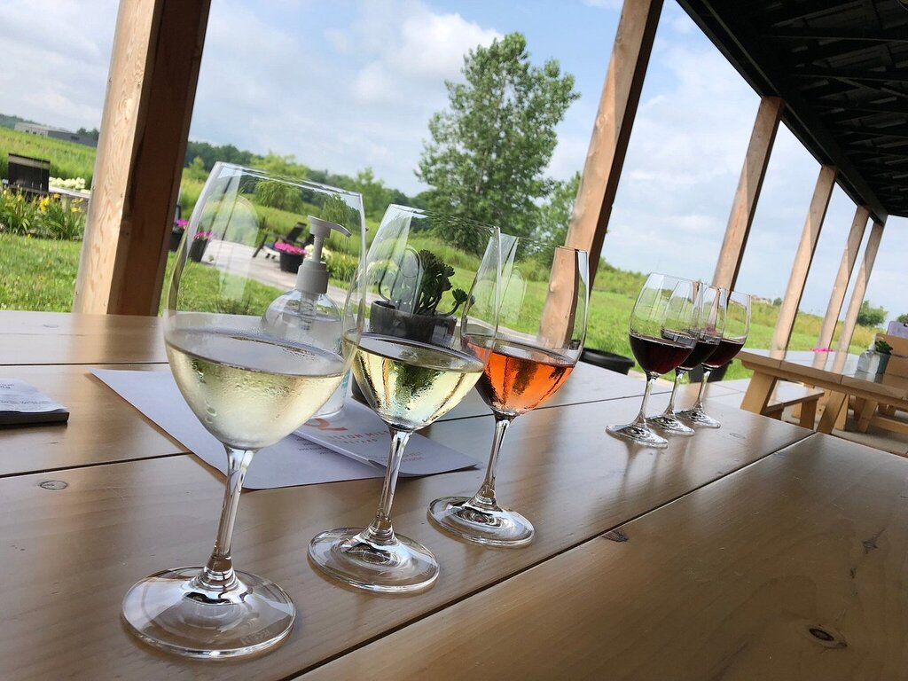 Queenston Mile Vineyard