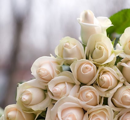 Club de Golf Rosemere