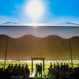 Dark Horse Estate Winery