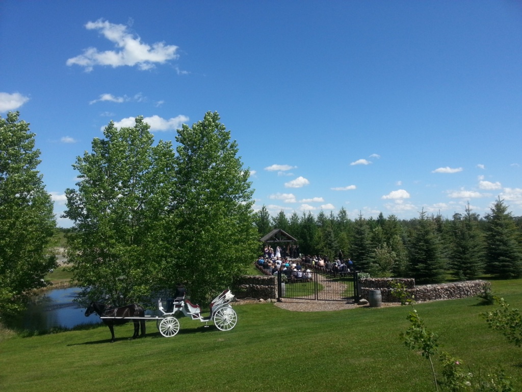 The barn at Lions Garden estate