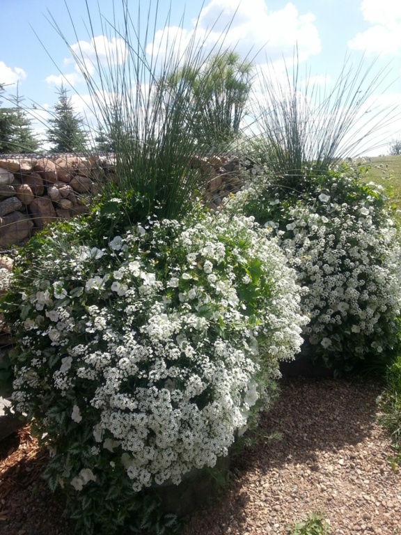The barn at Lions Garden estate