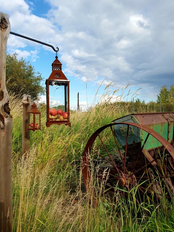 The barn at Lions Garden estate