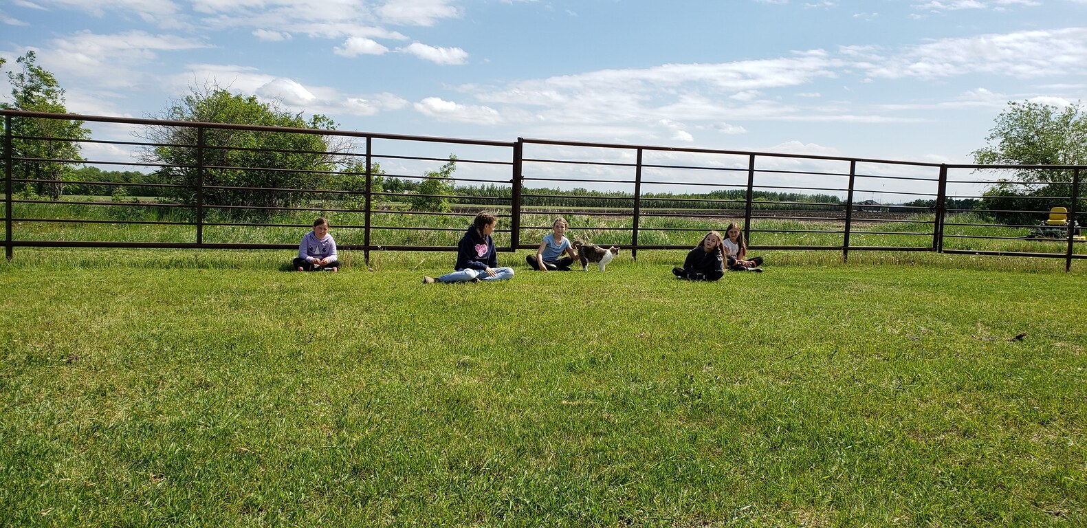 Sagehill Stables