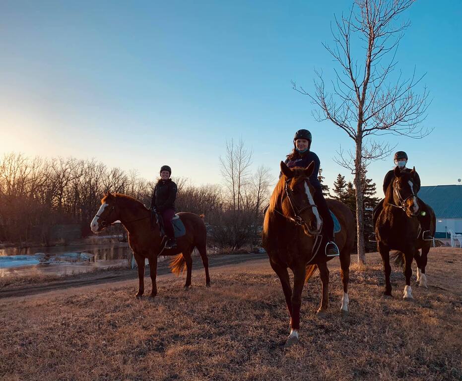 Sagehill Stables