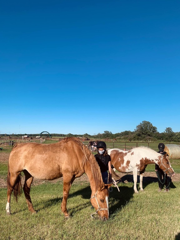 Sagehill Stables