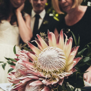 Percy Waters Florist