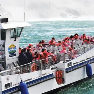 Hornblower Niagara Cruises