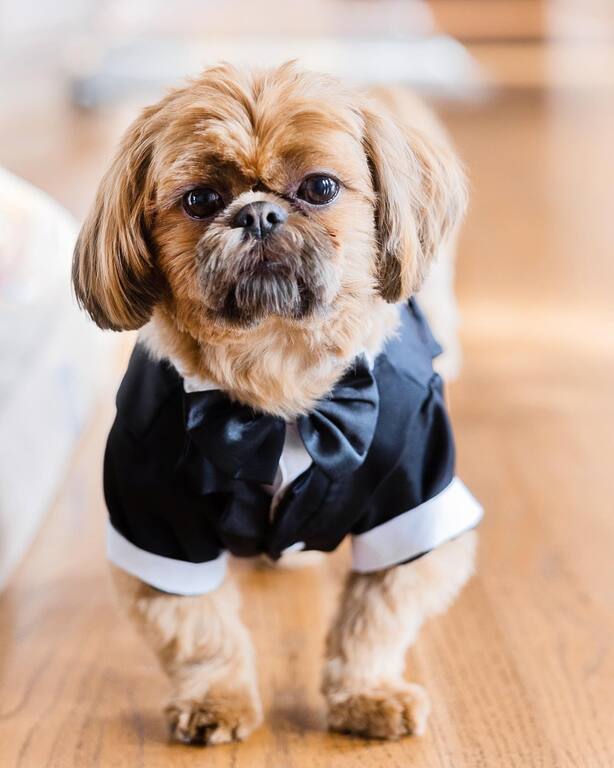 Everlasting Moments Studio