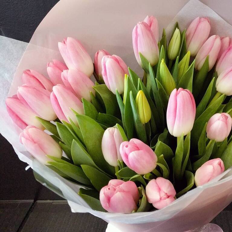 Fresh Blooms