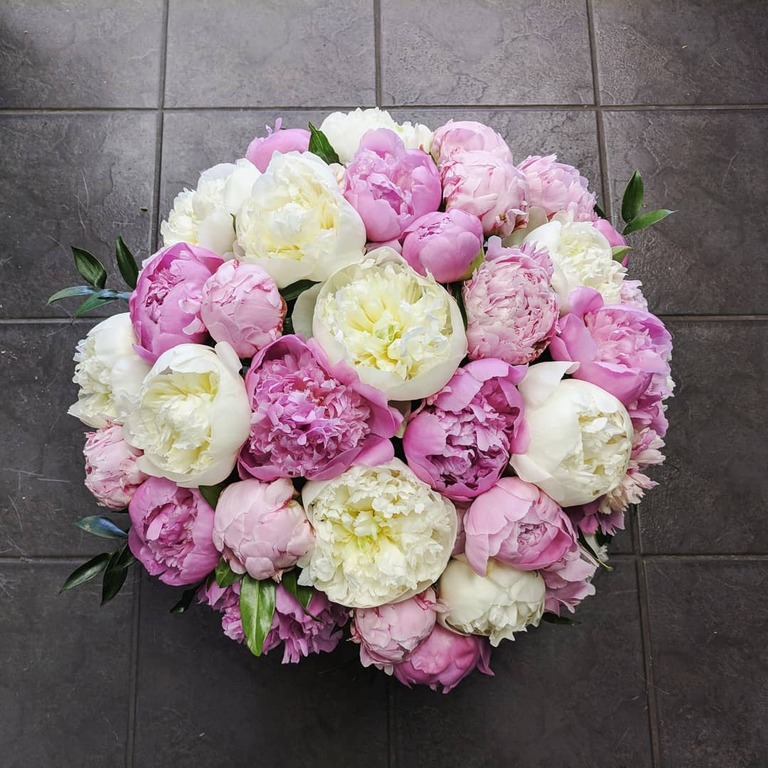 Light Pink Peony Bouquet - Fresh Blooms Langley Florist - Surrey Flower  Delivery