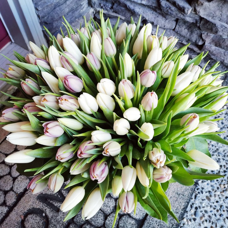 Fresh Blooms Flower Langley Weddinghero.ca