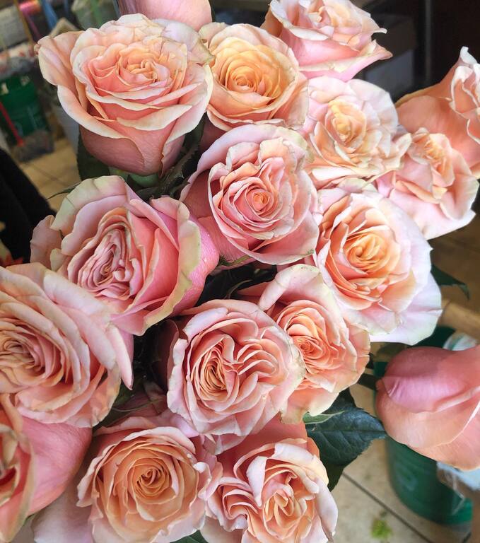 Casablanca Florist
