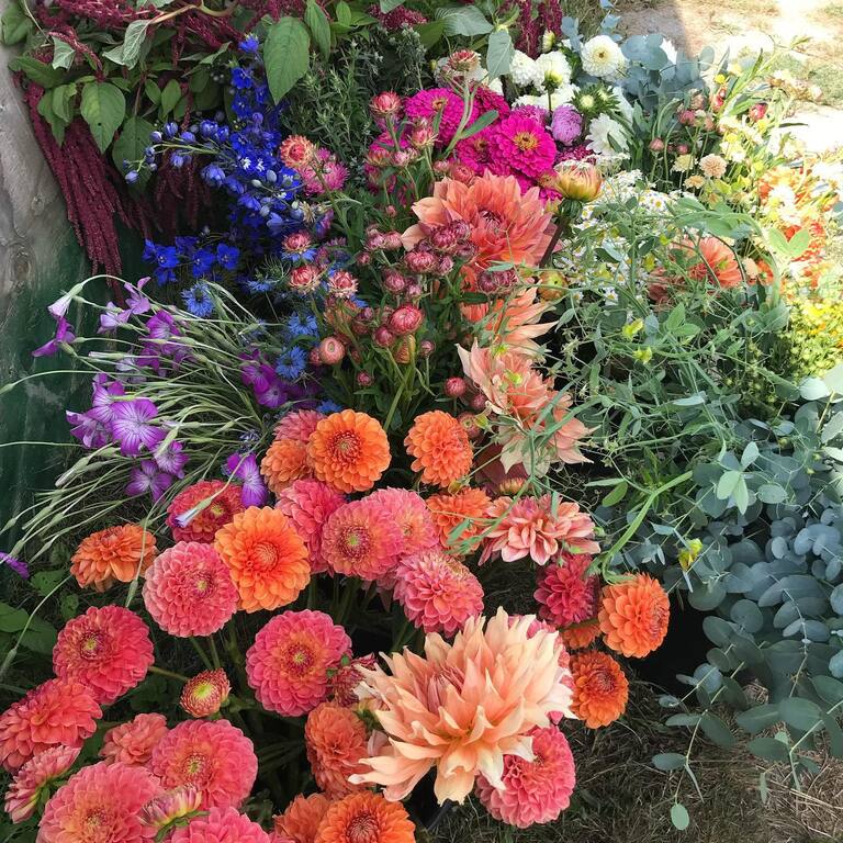 River and Sea Flowers