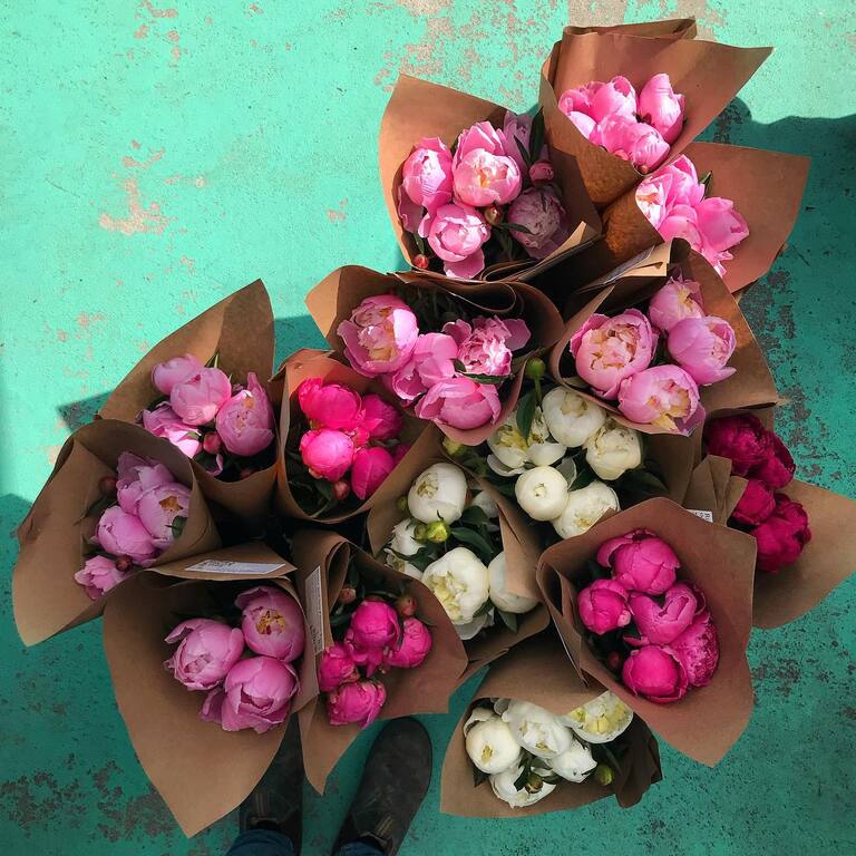 River and Sea Flowers