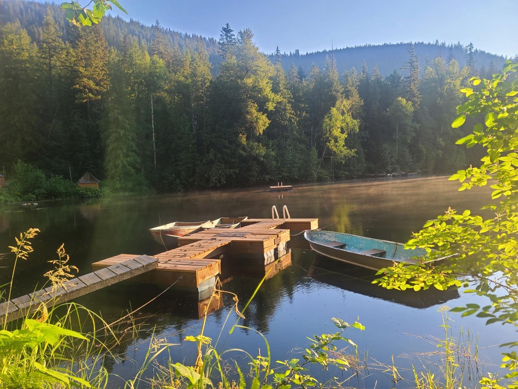 Cozy Cabins Wellness Resort
