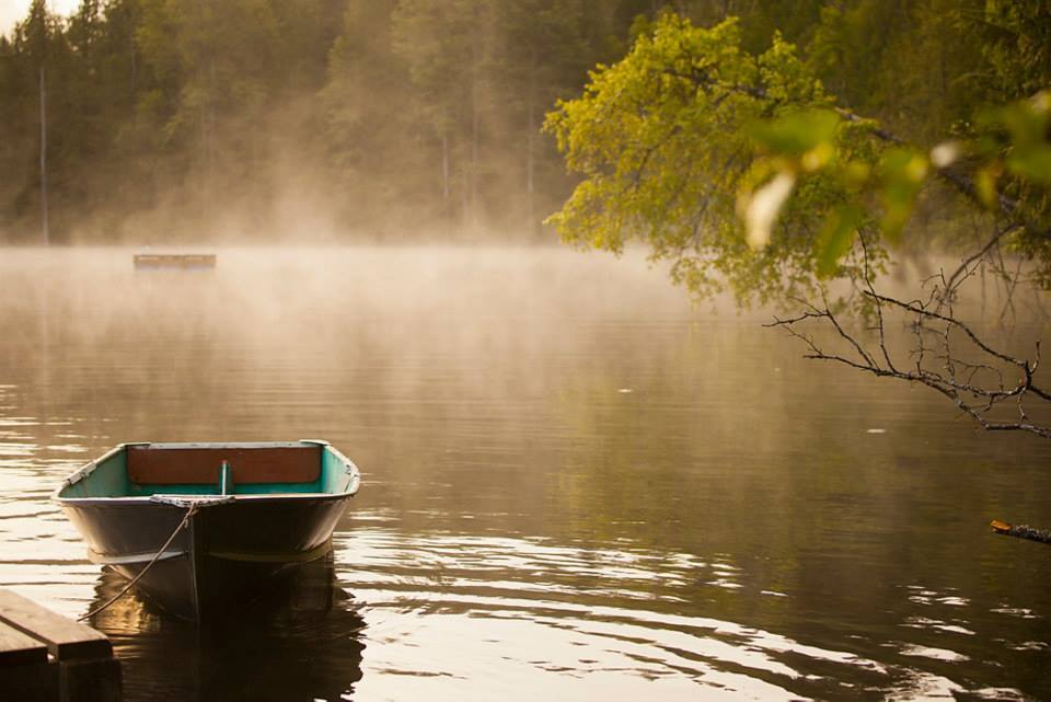 Cozy Cabins Wellness Resort