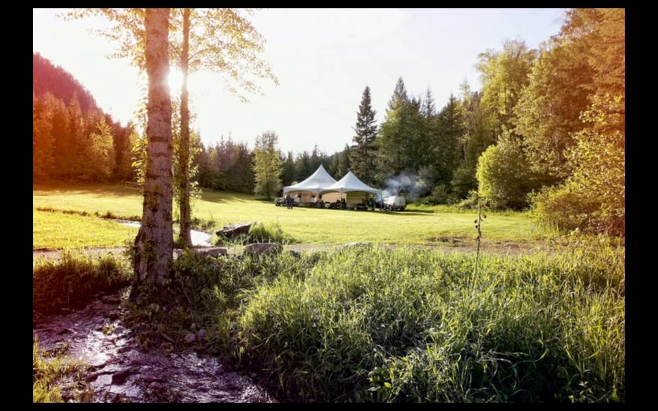 Cozy Cabins Wellness Resort