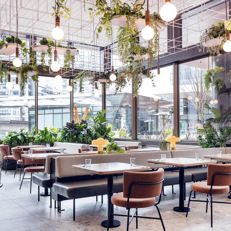 The Wynn, Earls in the Rockies