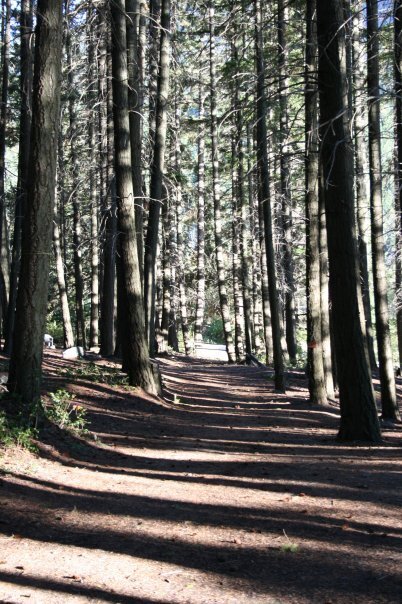 Birken Lakeside Resort