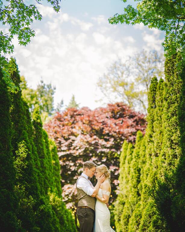 Barn Swallow Fields at Thatcher Farms
