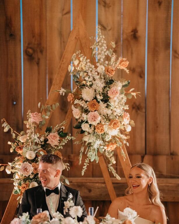Barn Swallow Fields at Thatcher Farms