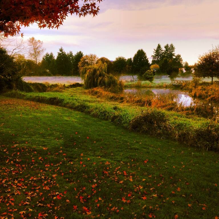 Hampton Inn by Hilton Downtown Vancouver