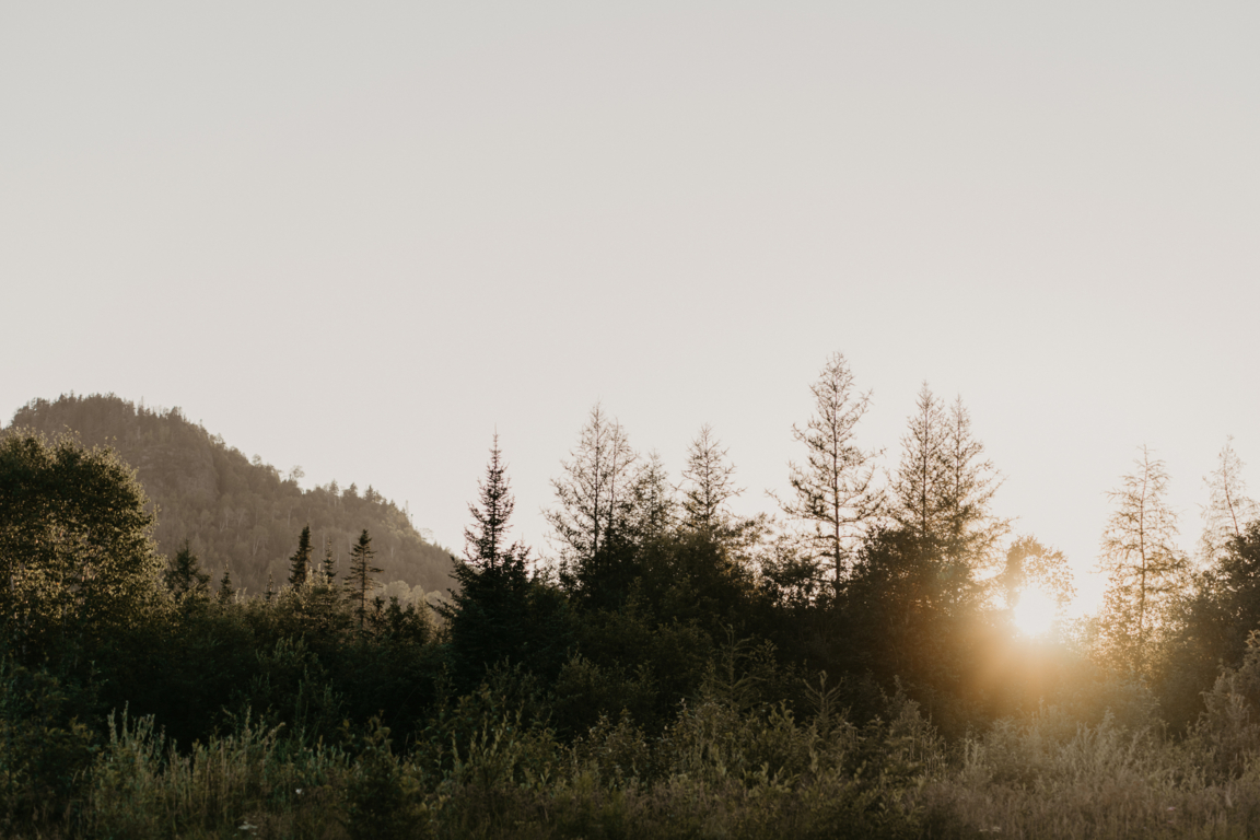 Niibing Tribal Tours