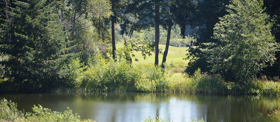 Duncan Meadows Golf and Country Club